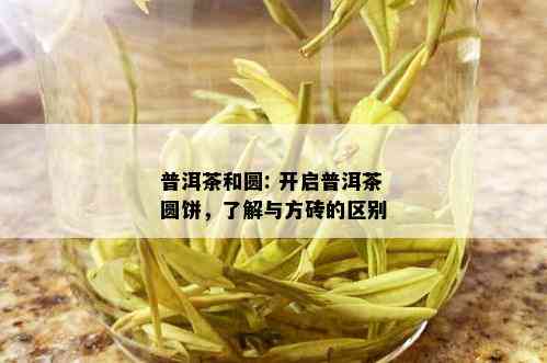 普洱茶和圆: 开启普洱茶圆饼，了解与方砖的区别