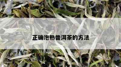 正确泡熟普洱茶的方法