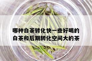 哪种白茶转化快一些好喝的白茶和后期转化空间大的茶