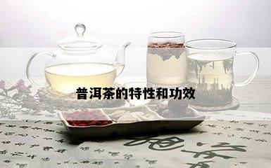 普洱茶的特性和功效