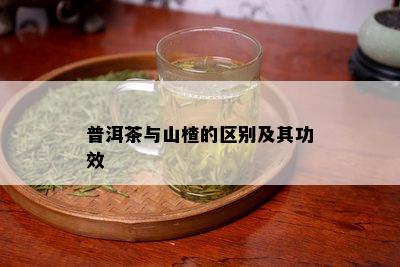 普洱茶与山楂的区别及其功效