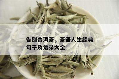 告别普洱茶，茶语人生经典句子及语录大全