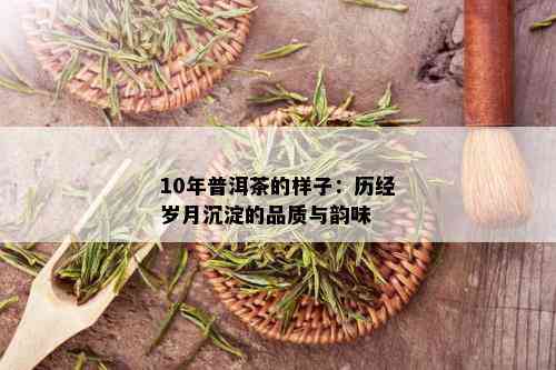 10年普洱茶的样子：历经岁月沉淀的品质与韵味