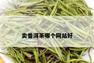 卖普洱茶哪个网站好