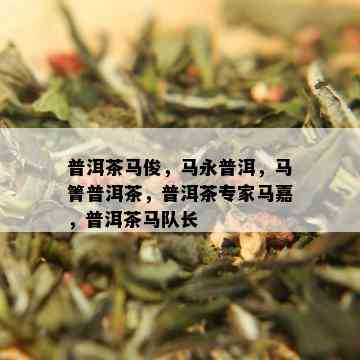 普洱茶马俊，马永普洱，马箐普洱茶，普洱茶专家马嘉，普洱茶马队长