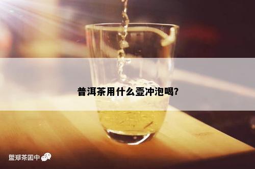 普洱茶用什么壶冲泡喝？