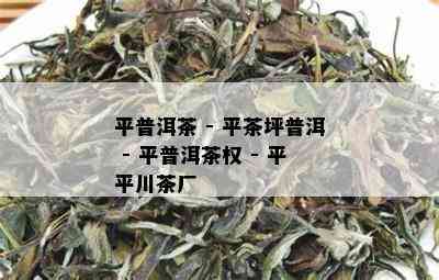 平普洱茶 - 平茶坪普洱 - 平普洱茶权 - 平平川茶厂