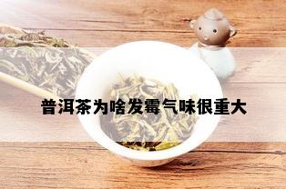 普洱茶为啥发霉气味很重大