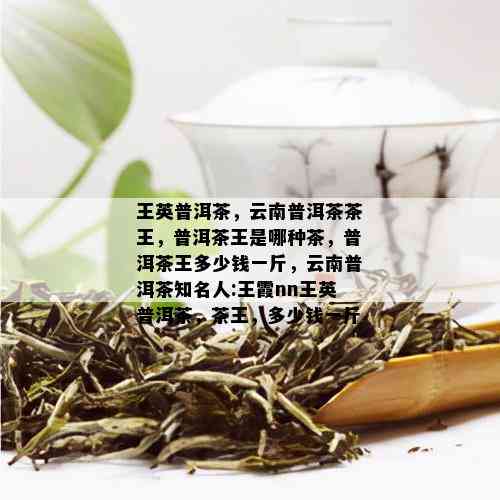 王英普洱茶，云南普洱茶茶王，普洱茶王是哪种茶，普洱茶王多少钱一斤，云南普洱茶知名人:王霞nn王英普洱茶，茶王，多少钱一斤