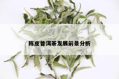 陈皮普洱茶发展前景分析