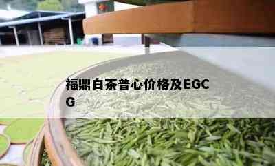 福鼎白茶普心价格及EGCG