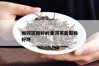 如何区别好的普洱茶真假和好坏