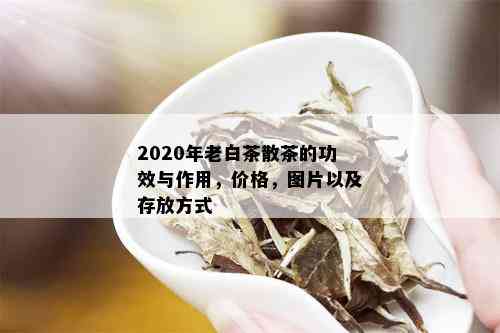 2020年老白茶散茶的功效与作用，价格，图片以及存放方式