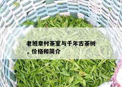 老班章村茶室与千年古茶树，价格和简介