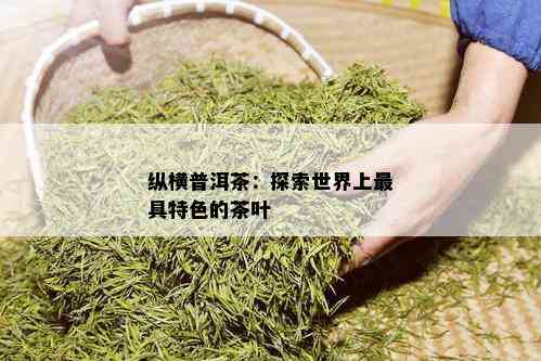 纵横普洱茶：探索世界上更具特色的茶叶