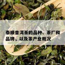 泰顺普洱茶的品种、茶厂和品牌，以及茶产业概况