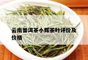 云南普洱茶小辉茶叶评价及价格