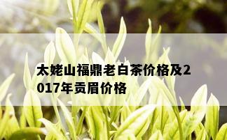 太姥山福鼎老白茶价格及2017年贡眉价格