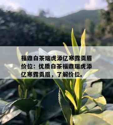 福鼎白茶瑞虎添亿寒露贡眉价位：优质白茶福鼎瑞虎添亿寒露贡眉，了解价位。