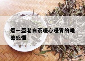 煮一壶老白茶暖心暖胃的唯美感悟