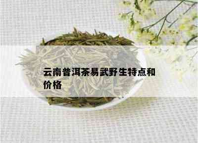 云南普洱茶易武野生特点和价格