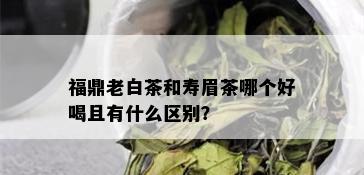 福鼎老白茶和寿眉茶哪个好喝且有什么区别？