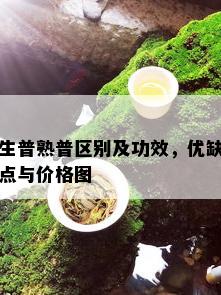 生普熟普区别及功效，优缺点与价格图