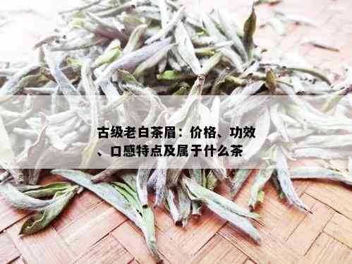 古级老白茶眉：价格、功效、口感特点及属于什么茶