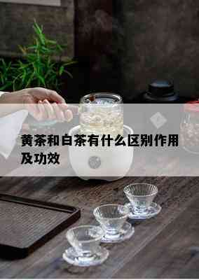 黄茶和白茶有什么区别作用及功效