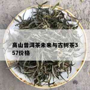 高山普洱茶未来与古树茶357价格