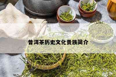 普洱茶历史文化贵族简介