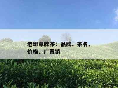 老班章牌茶：品牌、茶名、价格、厂直销