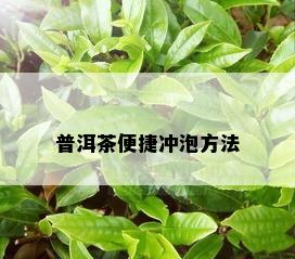 普洱茶便捷冲泡方法