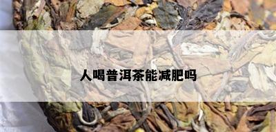 人喝普洱茶能减肥吗