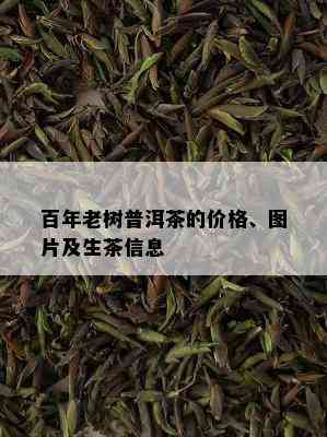 百年老树普洱茶的价格、图片及生茶信息