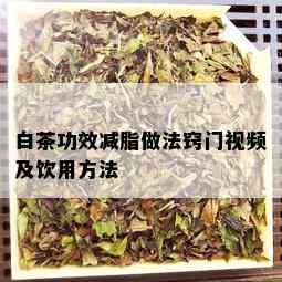 白茶功效减脂做法窍门视频及饮用方法