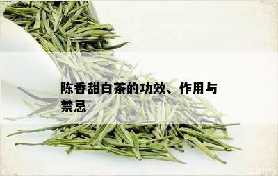 陈香甜白茶的功效、作用与禁忌