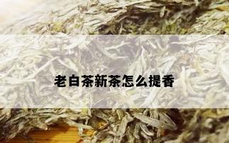 老白茶新茶怎么提香