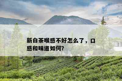 新白茶喉感不好怎么了，口感和味道如何？