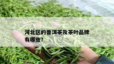 河北区的普洱茶及茶叶品牌有哪些？