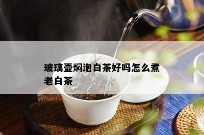 玻璃壶焖泡白茶好吗怎么煮老白茶