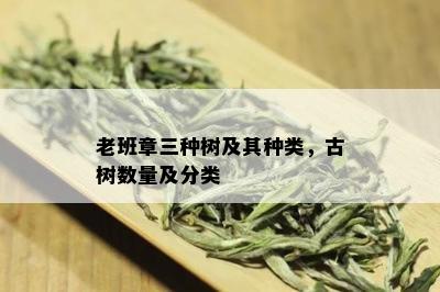 老班章三种树及其种类，古树数量及分类