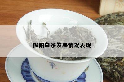 枞阳白茶发展情况表现