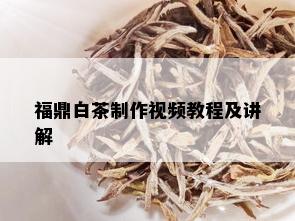 福鼎白茶制作视频教程及讲解