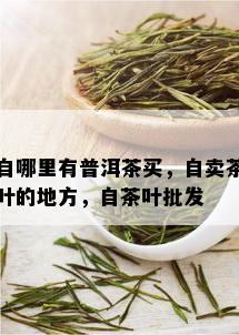 自哪里有普洱茶买，自卖茶叶的地方，自茶叶批发