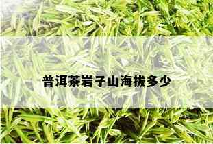 普洱茶岩子山海拔多少