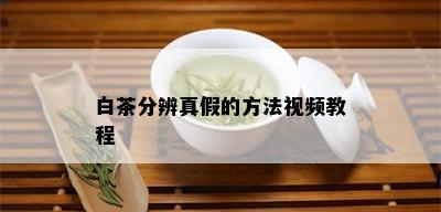 白茶分辨真假的方法视频教程