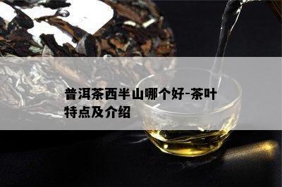 普洱茶西半山哪个好-茶叶特点及介绍