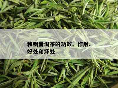 和喝普洱茶的功效、作用、好处和坏处