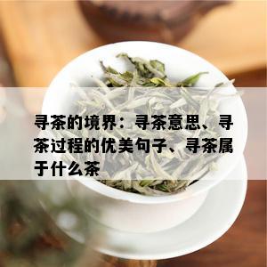 寻茶的境界：寻茶意思、寻茶过程的优美句子、寻茶属于什么茶